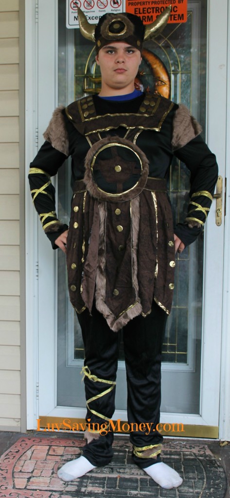 viking costume best