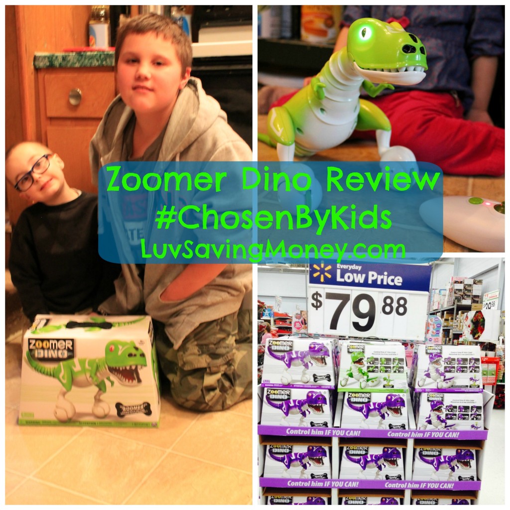 Zoomer Dino Review Collage