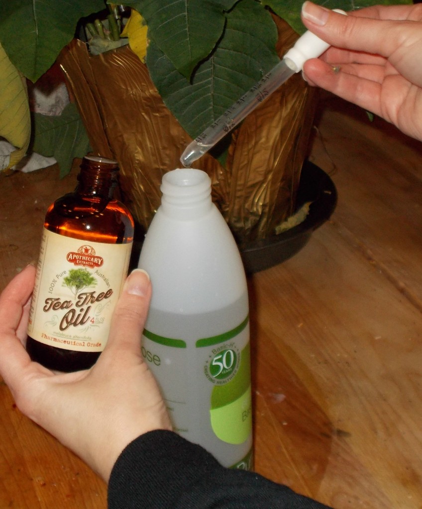 apothecary tea tree oil cleaner