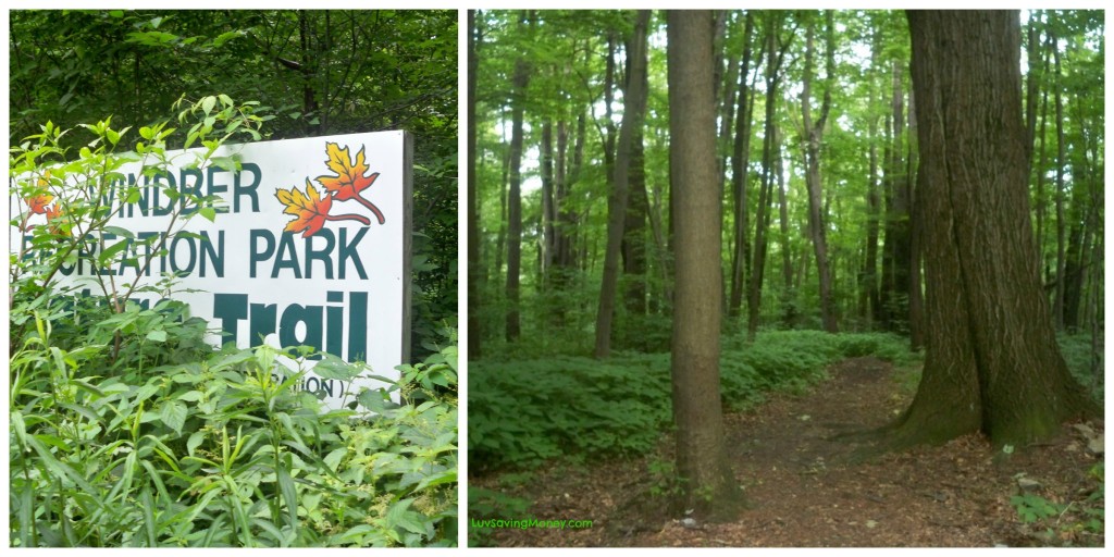 nature trail collage