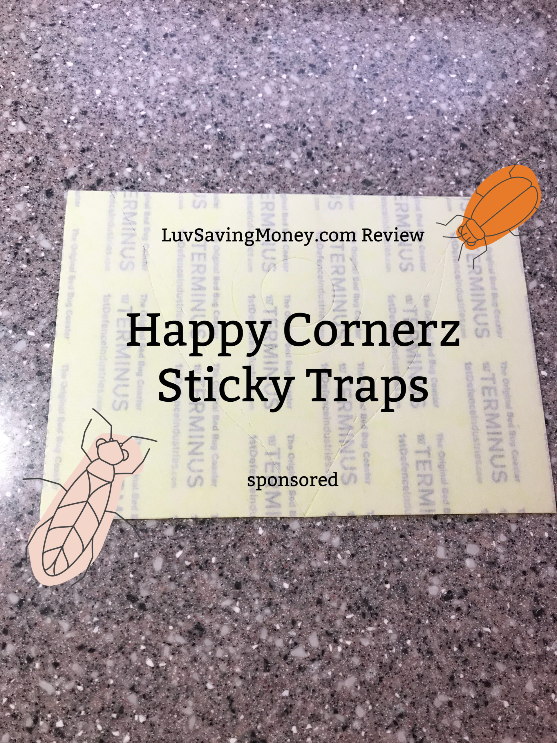 Happy Cornerz Sticky Trap Review and Set Up